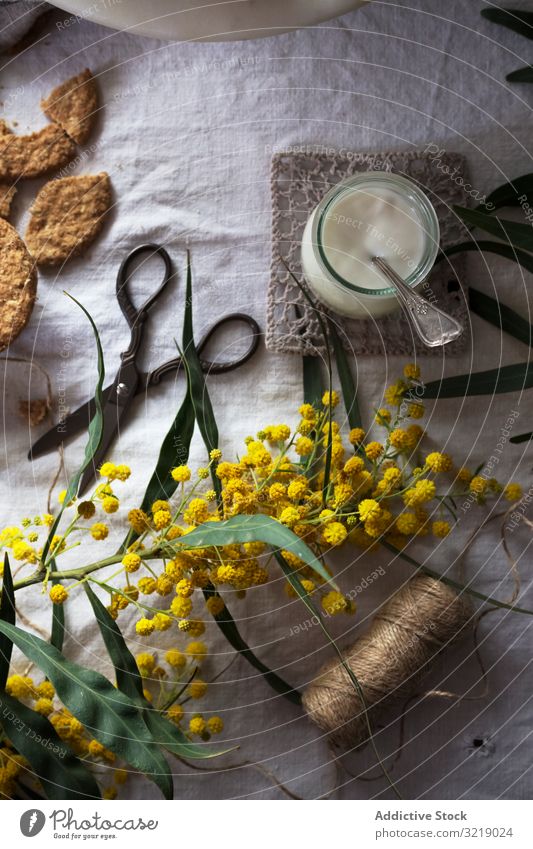 Schere und Seil bei Blumen und Desserts Tisch Gewebe Joghurt Keks romantisch rustikal altehrwürdig retro Werkzeug Faser Leinen Baumwolle Stoff Vorhang Blütezeit