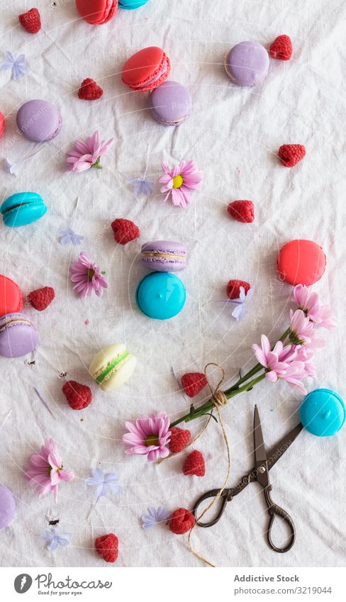 Scheren und Blumen inmitten von Makronen und Himbeeren Stoff Zusammensetzung Lebensmittel Gebäck farbenfroh lecker geschmackvoll Dessert retro altehrwürdig