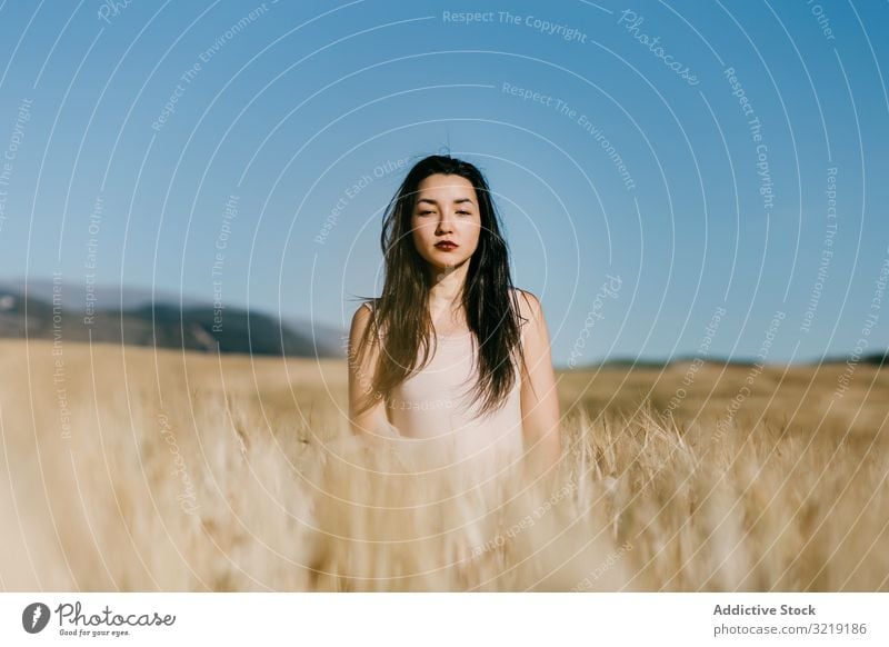 Asiatische Dame im Feld stehend Frau windig Natur asiatisch Wetter sinnlich jung Sommer Freiheit Wiese Gras Landschaft Harmonie idyllisch Windstille ruhig