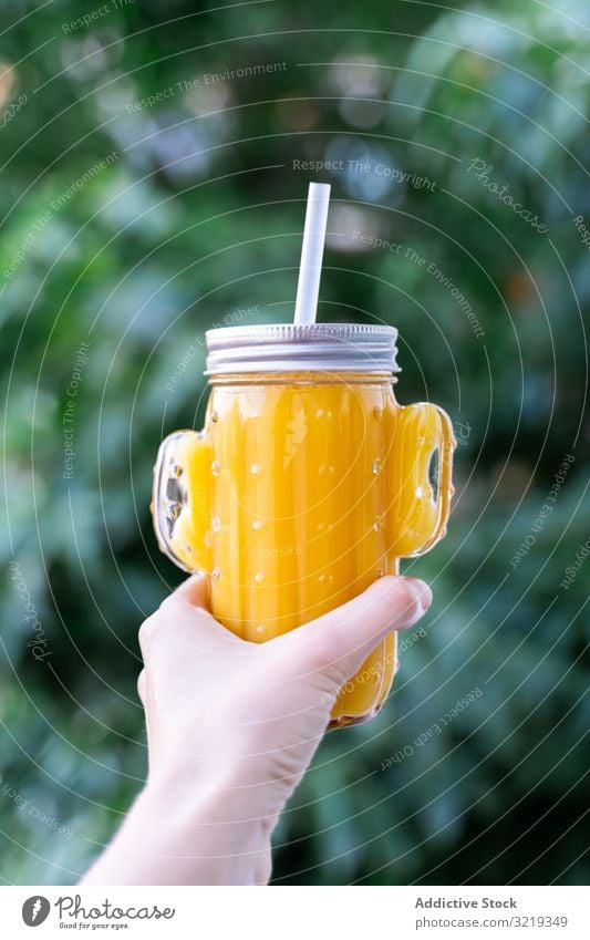 Kaktus-Maurer-Glas mit Fruchtsaft Saft Smoothie trinken Entzug Gesundheit Glaswaren Vegetarier Form organisch süß Diät roh natürlich frisch lecker Getränk Stroh