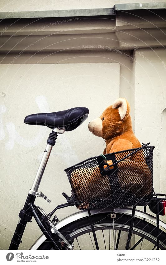 Liebhabär Freizeit & Hobby Fahrradtour Fahrradfahren Verkehr Verkehrsmittel Spielzeug Teddybär sitzen warten klein niedlich braun Kindheit Sicherheit Bär Korb