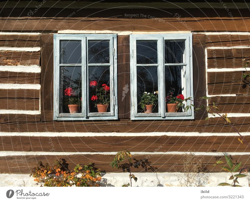 Fenster im Blockbau Dorf Haus Gebäude Mauer Wand Fassade Sehenswürdigkeit Denkmal Blick träumen Häusliches Leben alt braun ruhig Ferien & Urlaub & Reisen