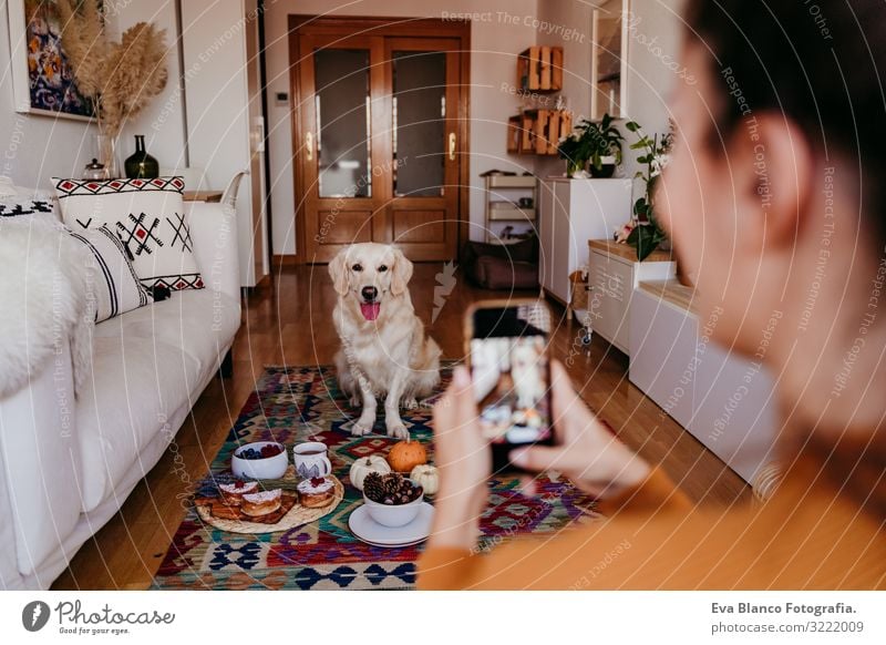 junge kaukasische Frau, die ihren Golden Retriever-Hund mit dem Handy fotografiert. Zuhause, in Innenräumen Grafik u. Illustration PDA Technik & Technologie