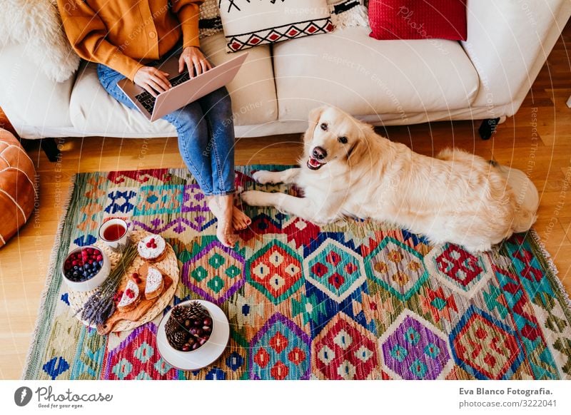 junge frau, die zu hause am laptop arbeitet. süßer golden retriever-hund daneben. gesunde frühstückszeit. technik und lebensstil im haus Notebook