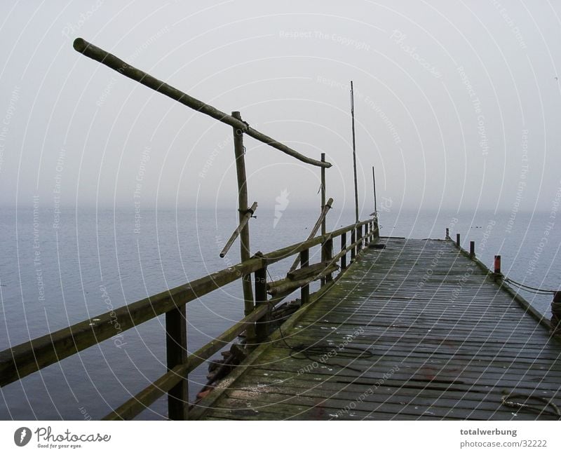 Bootssteg in den Nebel Wasserfahrzeug Steg kalt Stimmung Einsamkeit Rügen