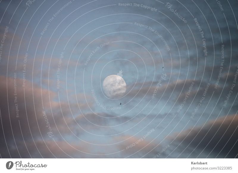 Trübe Aussichten Mond Himmel Wolken Vollmond Nachthimmel dunkel Natur Menschenleer Außenaufnahme Mondschein Licht Farbfoto Stimmung leuchten Umwelt blau