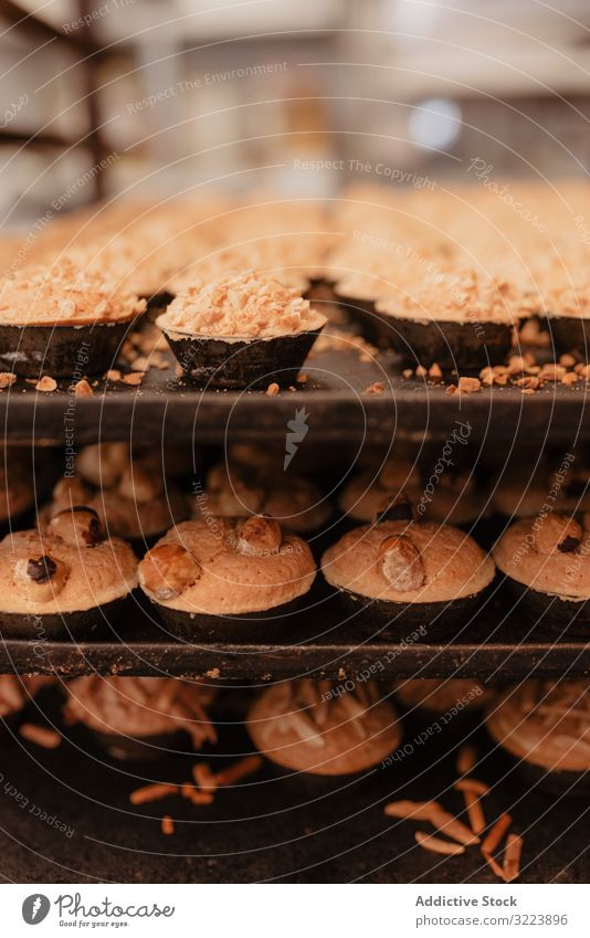 Regale mit frischem Brot und Brötchen Bäckerei Ablage Tablett Gebäck Lebensmittel Brotlaib geschmackvoll lecker Kruste viele Kulisse Qualität Kleinunternehmen