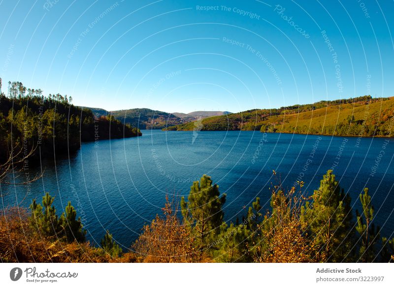 Ruhiger See am Herbsttag Landschaft Himmel wolkenlos Wasser Windstille Ufer Natur fallen Saison Rippeln Oberfläche ruhig Gelassenheit friedlich Harmonie