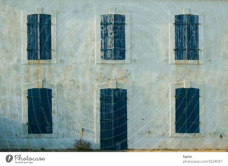 blau-gruen-grau Menschenleer Haus Gebäude Fassade Fenster Farbfoto Außenaufnahme Abend Zentralperspektive