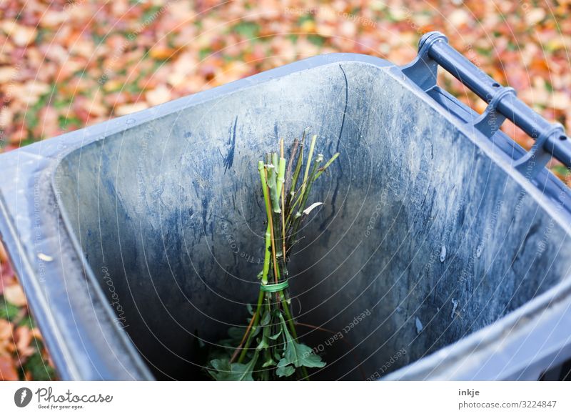 ausgeblüht Lifestyle Herbst Blumenstrauß Müllbehälter alt dreckig dunkel trist Gefühle Stimmung Liebeskummer Enttäuschung Stolz Verachtung Wut Frustration