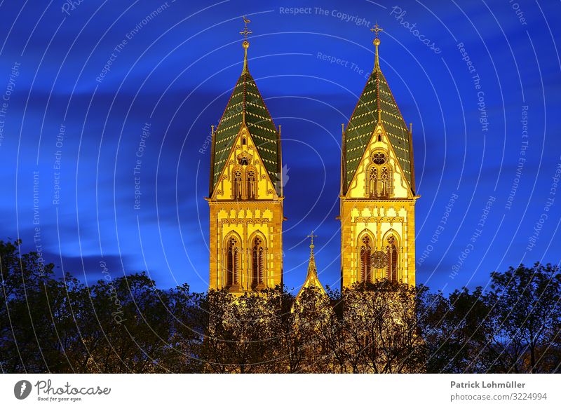 Zwillingstürme Sightseeing Städtereise Umwelt Himmel Baum Freiburg im Breisgau Deutschland Europa Kleinstadt Stadtzentrum Menschenleer Kirche Bauwerk