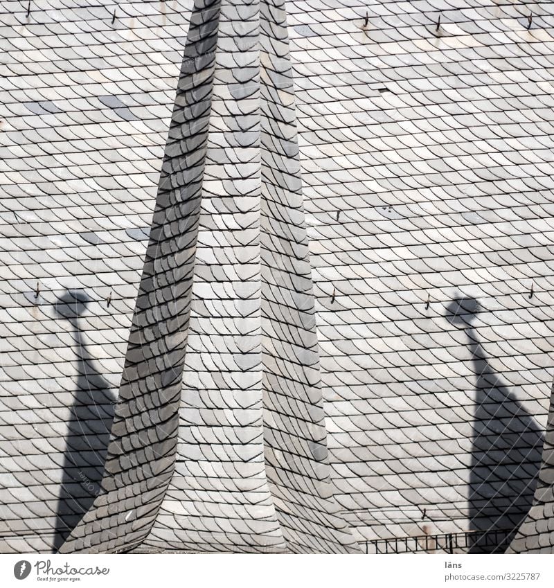 Alsfelder Dachlandschaft Stadt Altstadt Turm Gebäude außergewöhnlich Zusammensein schön grau Häusliches Leben Dachziegel Farbfoto Außenaufnahme Menschenleer