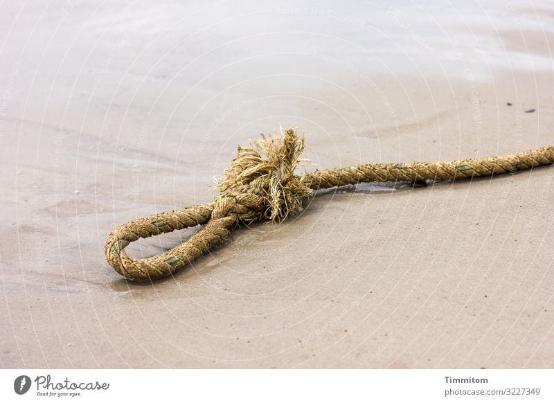 Tauende Ferien & Urlaub & Reisen Umwelt Natur Urelemente Sand Wasser Strand Nordsee Dänemark Seil Schlaufe Knoten Schleife liegen alt kaputt braun weiß Gefühle