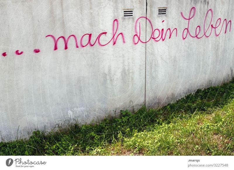 ...mach dein Leben Karriere Mauer Wand Schriftzeichen Lebensziel Zukunftstraum Zukunftsorientiert positiv Motivation streben zielstrebig Graffiti Ziel