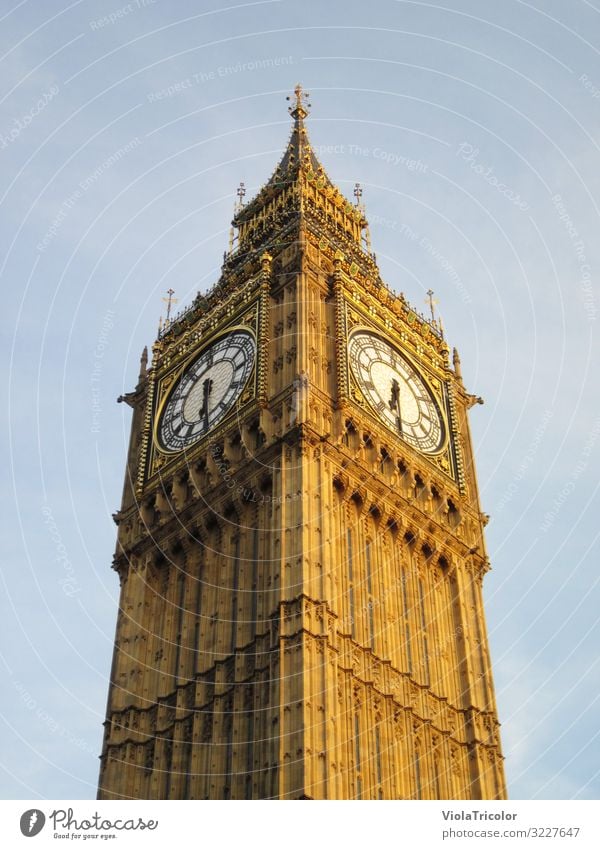 Big Ben: Turmspitze mit Uhr aus der Froschperspektive im goldenen Abendlicht London Ferien & Urlaub & Reisen Tourismus Hauptstadt Stadtzentrum Bauwerk