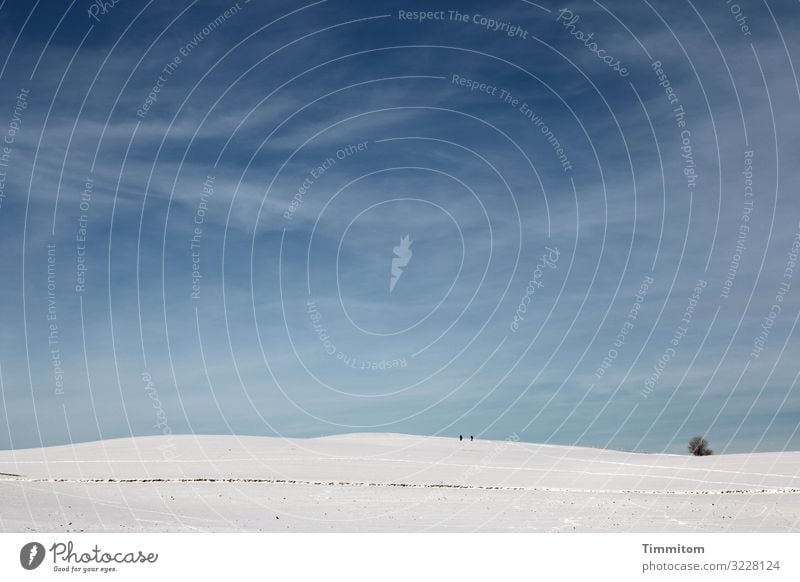 Spaziergang im Winter Ferien & Urlaub & Reisen Mensch Umwelt Natur Landschaft Pflanze Urelemente Himmel Klima Wetter Schönes Wetter Baum Hügel gehen ästhetisch