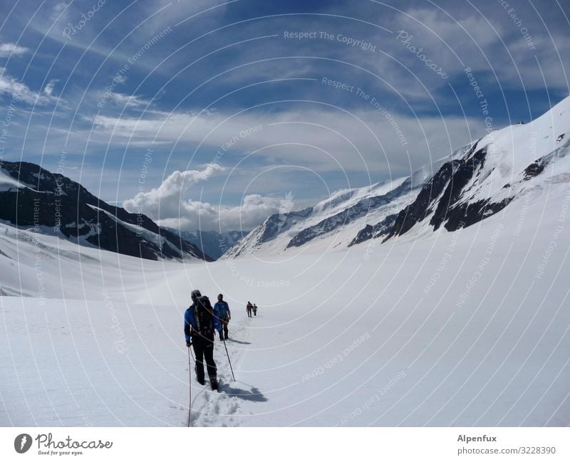 Der Alpenraum- unendliche Weiten Klima Klimawandel Schönes Wetter Eis Frost Schnee Felsen Berge u. Gebirge Gipfel Schneebedeckte Gipfel Gletscher laufen wandern