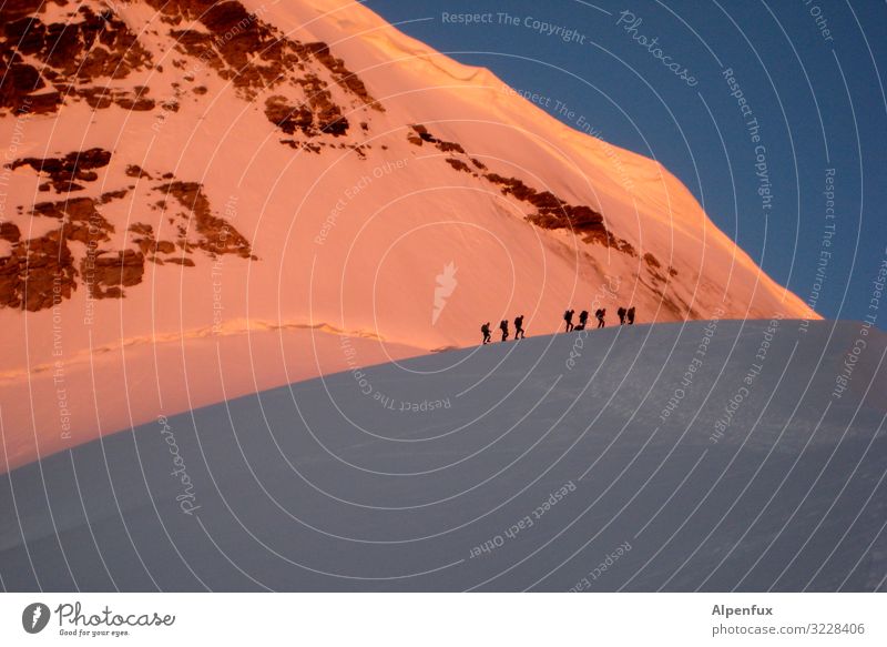 Stau am Morgen Klima Klimawandel Schönes Wetter Eis Frost Schnee Felsen Alpen Berge u. Gebirge Berner Oberland Jungfrau (Berg) Gipfel Schneebedeckte Gipfel