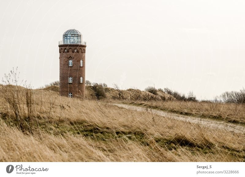 Wegweiser Insel Landschaft Himmel Frühling Gras Ostsee Rügen Kap Arkona Deutschland Leuchtturm maritim braun trocken Farbfoto Gedeckte Farben Außenaufnahme