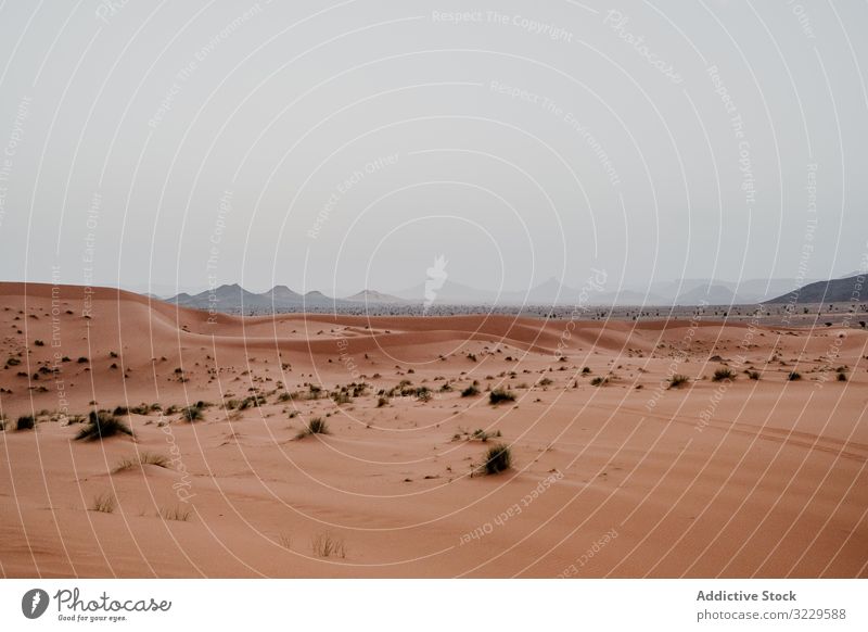 Sonnenuntergangshimmel über Hügeln in der Wüste wüst Sand Himmel wolkig Felsen trocken Marokko Afrika Abend niemand Landschaft Natur Düne Stein Felsbrocken