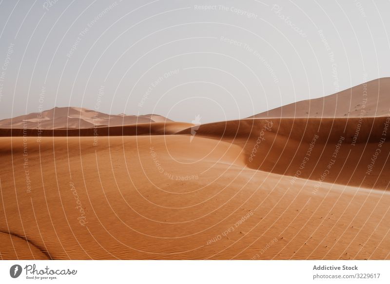 Sanddüne in trockener Wüste Düne wüst Himmel grau Marokko Afrika Natur trocknen Landschaft Hügel Wildnis niemand wolkenlos Wetter heiß warm Dürre Gelände