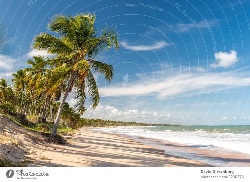 Traumstrand Ferien & Urlaub & Reisen Abenteuer Ferne Sommerurlaub Sonnenbad Natur Landschaft Wasser Himmel Wolken Schönes Wetter Wellen Küste Strand Bucht Meer