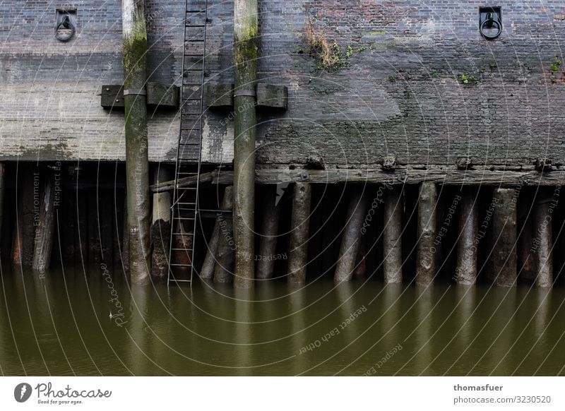 Holzträger, Fundament im Kanal, Fleet Baustelle schlechtes Wetter Regen Hamburg Hafenstadt Haus Bauwerk Gebäude Architektur Mauer Wand Beton alt dreckig Verfall