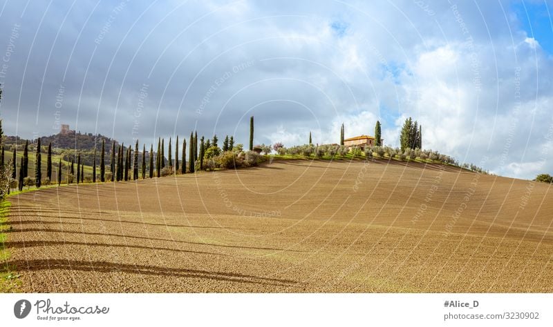 Toskana Landschaft Val d'Orcia Italien Ferien & Urlaub & Reisen Natur Urelemente Erde Wolken Herbst Winter Schönes Wetter Zypresse Feld Hügel Gipfel Europa