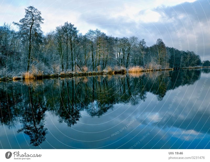 Am Oranienburger Kanal. Landschaft Wasser Herbst Wetter Baum Wald Flussufer Stadtrand Menschenleer Binnenschifffahrt entdecken Blick ästhetisch authentisch