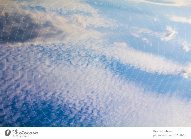 Himmlisch Himmel Wolken Sommer Wetter Schönes Wetter Gewitter Wärme atmen beobachten Bewegung Denken entdecken Erholung fliegen leuchten Blick ästhetisch