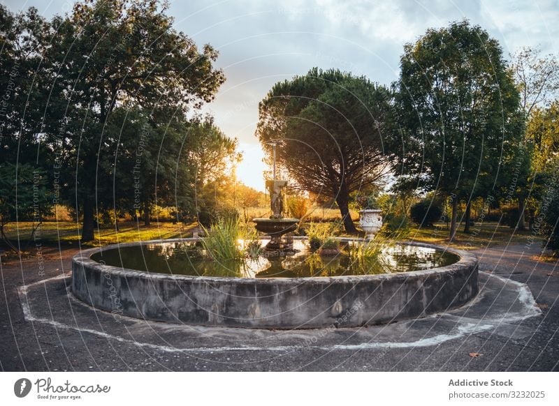 Bewachsene Fontäne bei Sonnenuntergang Springbrunnen Park Sommer bewachsen rund Menschenleer Abenddämmerung Dämmerung Tourismus Morgendämmerung Wasser Ansicht