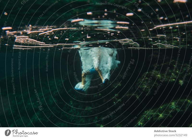 Taucher, der von im Wasser springenden Blasen umgeben ist schwimmen unter Wasser Schaumblase Feiertag spielerisch aktiv Schwimmer MEER Energie Aktion Bewegung