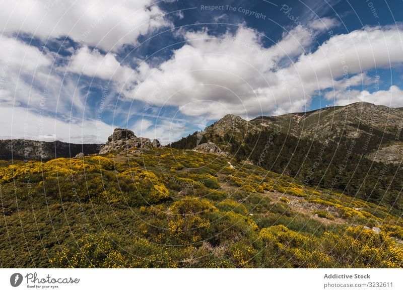 Atemberaubend weiße Wolken über grünen Hügeln Cloud Blume Landschaft Himmel Natur Berge u. Gebirge ländlich Pflanze Umwelt Gras reisen Tourismus gelb wachsen