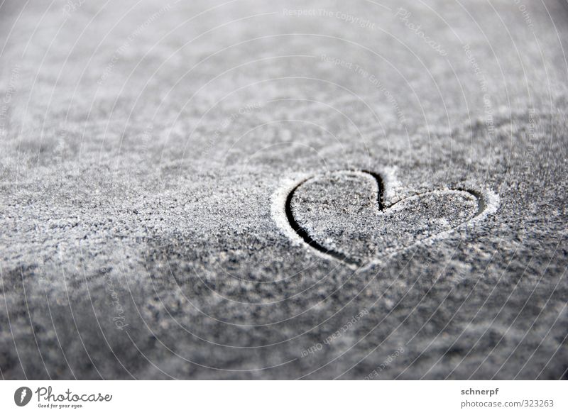 Herz aus Eis Lifestyle Glück Valentinstag Muttertag Hochzeit Geburtstag Klimawandel Wetter Frost Schnee Dekoration & Verzierung Metall Kristalle Zeichen Brunft