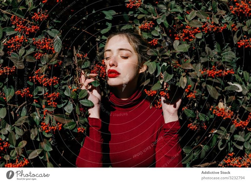 Junge Frau im Busch mit Beeren Buchse Garten Ast Laubwerk geschlossene Augen jung sonnig tagsüber Natur frisch Blütezeit Lifestyle Landschaft natürlich rot grün