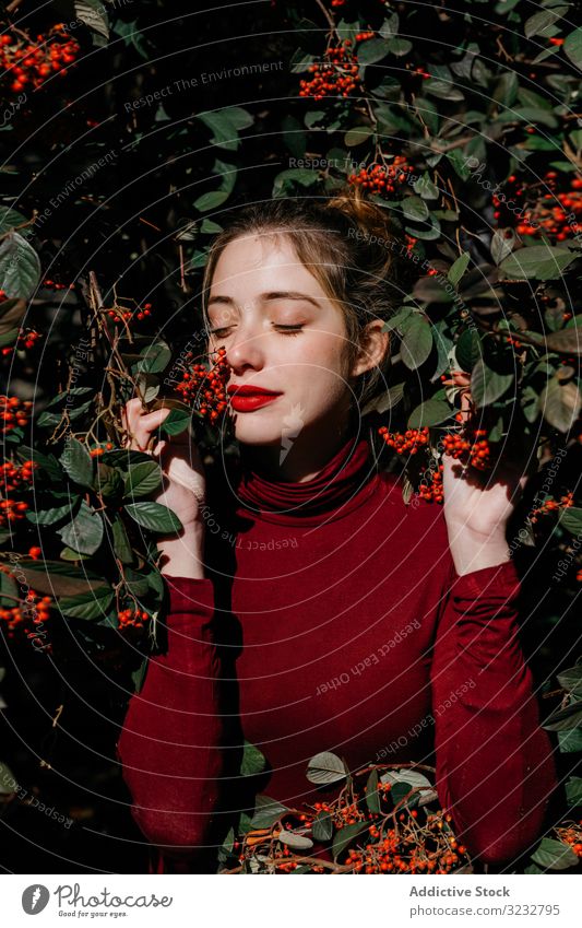 Junge Frau im Busch mit Beeren Buchse Garten Ast Laubwerk geschlossene Augen jung sonnig tagsüber Natur frisch Blütezeit Lifestyle Landschaft natürlich rot grün