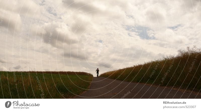 Am Horizont Mensch maskulin Mann Erwachsene 1 18-30 Jahre Jugendliche Umwelt Natur Landschaft Himmel Wolken Sommer Wetter Feld Straße gehen laufen rennen dunkel