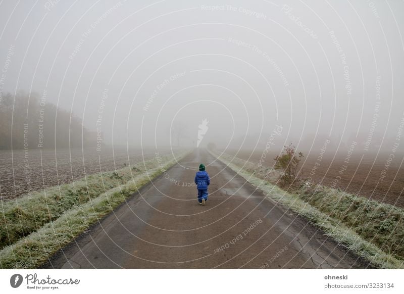 Junge vor Nebelbank Mensch maskulin Kind Kleinkind Kindheit 1 3-8 Jahre Wetter Eis Frost Fußgänger Straße Wege & Pfade gehen kalt klein rebellisch blau Beginn