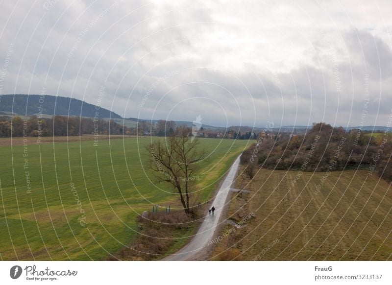 Vater und Sohn gehen spazieren Landschaft Baum Sträucher Felder Bergkette Ortschaft Dorf Weg Wege & Pfade Mann Junge Zusammensein spazierengehen Herbst trüb