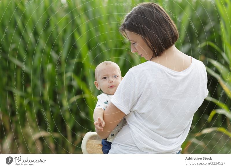 Anbetungswürdige Mutter und Kind bei der Hand, die sich auf dem Feld vergnügen und lachen Familie Lachen Obstgarten Eltern Glück Spaß Zusammensein Kindheit