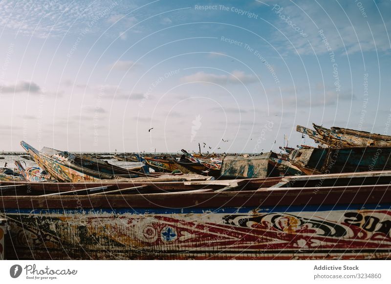 Boote mit bunten Fronten im Hafen Portwein Stadt farbenfroh Ornament Fahne schäbig alt wolkenlos Himmel Gambia hafen gealtert verwittert hölzern Holz Nutzholz