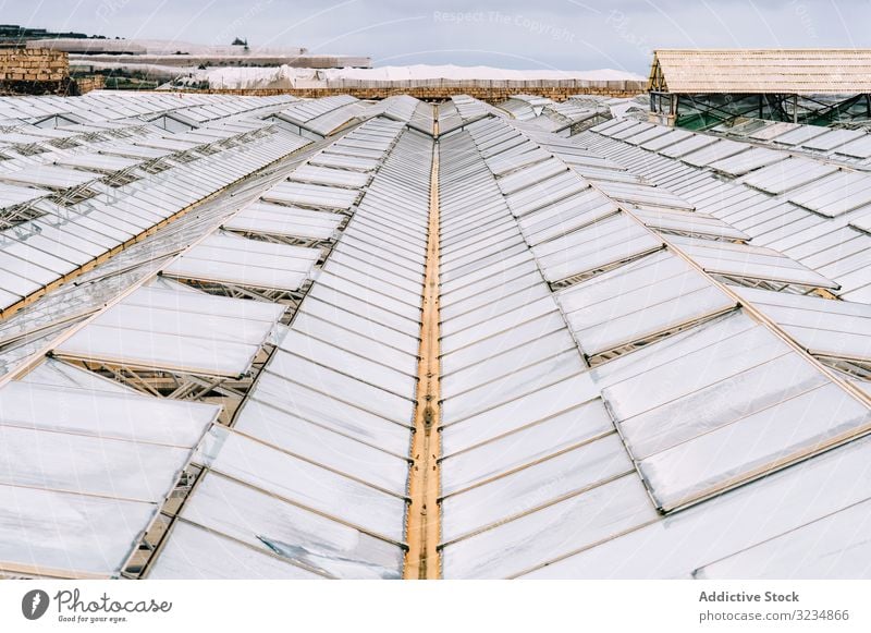 Glasgewächshausdächer bei bedecktem Himmel Gewächshaus Dach Bauernhof ländlich Business Garten Arbeit Anlaufstelle Gartenbau Polycarbonat Konstruktion