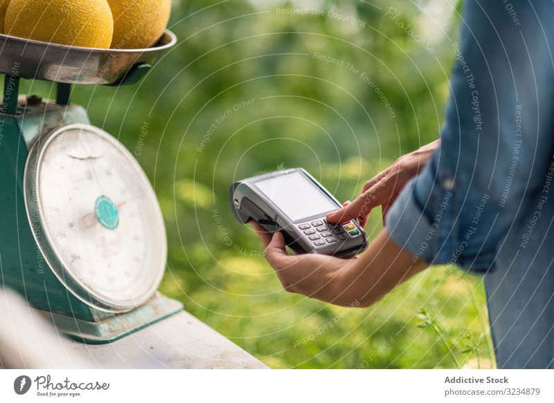 Landwirt verkauft reife Melonen im Gewächshaus Einzelhandel verkaufen Zahlung Frau Rechnung Bauernhof Obstgarten achtsam Fokus Lebensmittel essbar Ernte prüfen