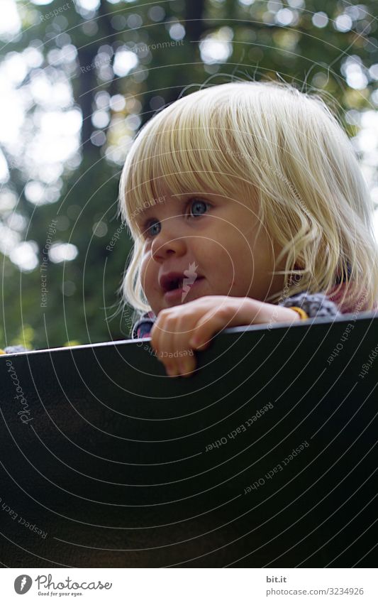 weitsichtig l Mädchen schaut in die Welt Mensch feminin Kind Kleinkind Kindheit Umwelt Natur Freude Glück Fröhlichkeit Zufriedenheit Lebensfreude Blick Aussicht