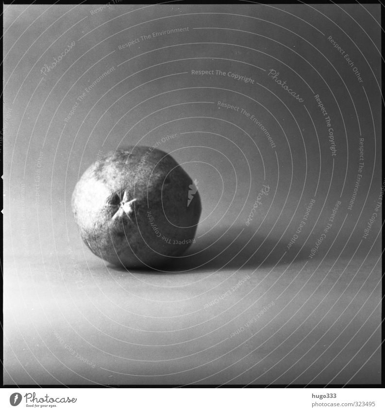 Mango in Monochrom schwarz-weiß schwarz auf weiß Kontrast retro Nahaufnahme Natur Frucht hasselblad Quadrat 6x6 Mittelformat analog Film analogue square bw