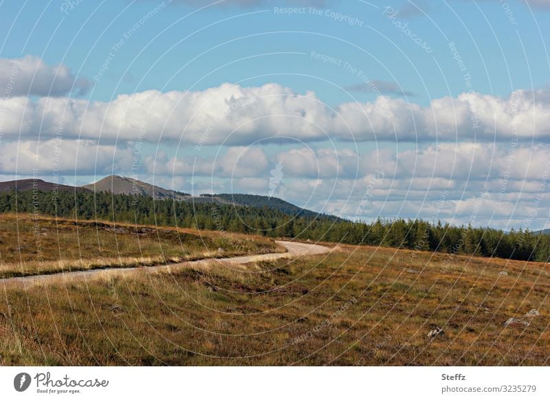 unter blauem Himmel Schottland Heide Heidelandschaft schottische Landschaft nordische Romantik schottischer Sommer Sommer in Schottland Wanderweg Weg Pfad karg