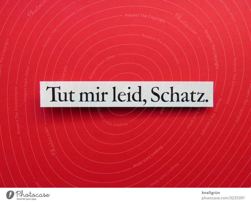 Tut mir leid, Schatz. Schriftzeichen Schilder & Markierungen Kommunizieren rot schwarz weiß Gefühle Stimmung Sympathie Freundschaft Zusammensein Liebe gehorsam