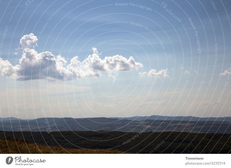 Sommerwärme Ferien & Urlaub & Reisen Umwelt Natur Landschaft Pflanze Urelemente Erde Himmel Wolken Sonnenlicht Schönes Wetter Hügel Burgund Frankreich