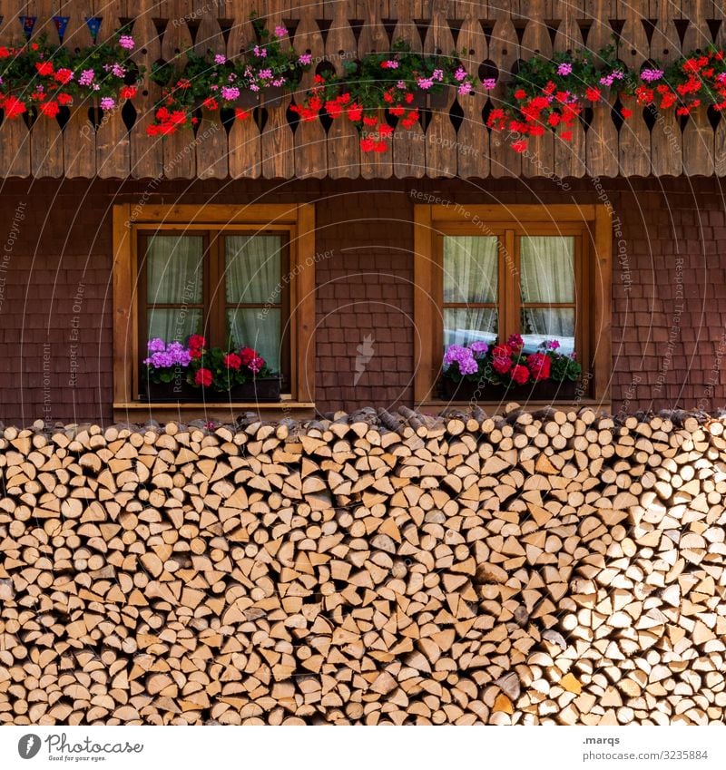 Schwarzwälder Bauernhausfassade Haus Fassade braun Holzhaus Fenster Blume Schwarzwaldhaus Häusliches Leben Bauernhof Dorf gemütlich Deutschland historisch