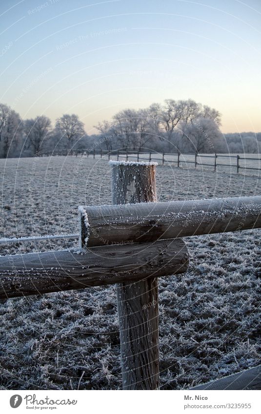 kalter morgen Umwelt Natur Landschaft Wolkenloser Himmel Winter Klima Schönes Wetter Eis Frost Schneefall Feld Wald Zaun Weidezaun Raureif Holzzaun